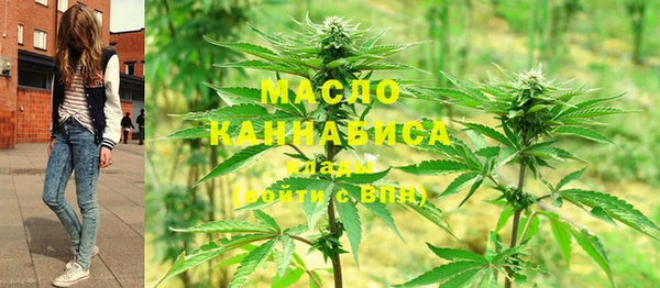 спиды Бородино