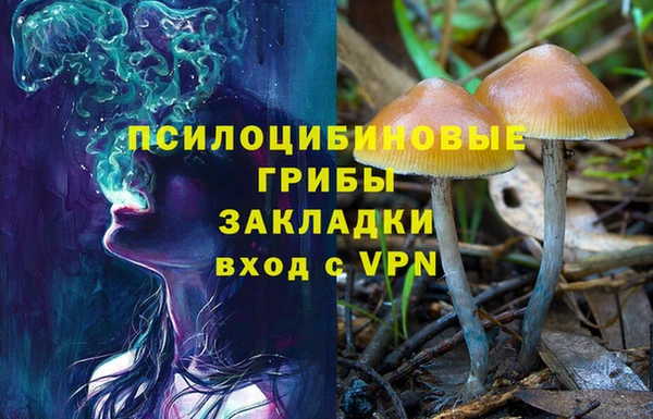 2c-b Бронницы