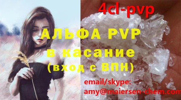 спиды Бородино